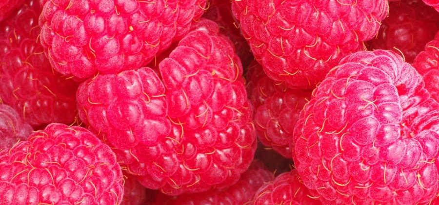 Ripe Strawberries